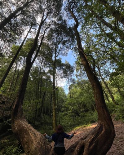 Fotografía de una persona prestando atención plena en el bosque